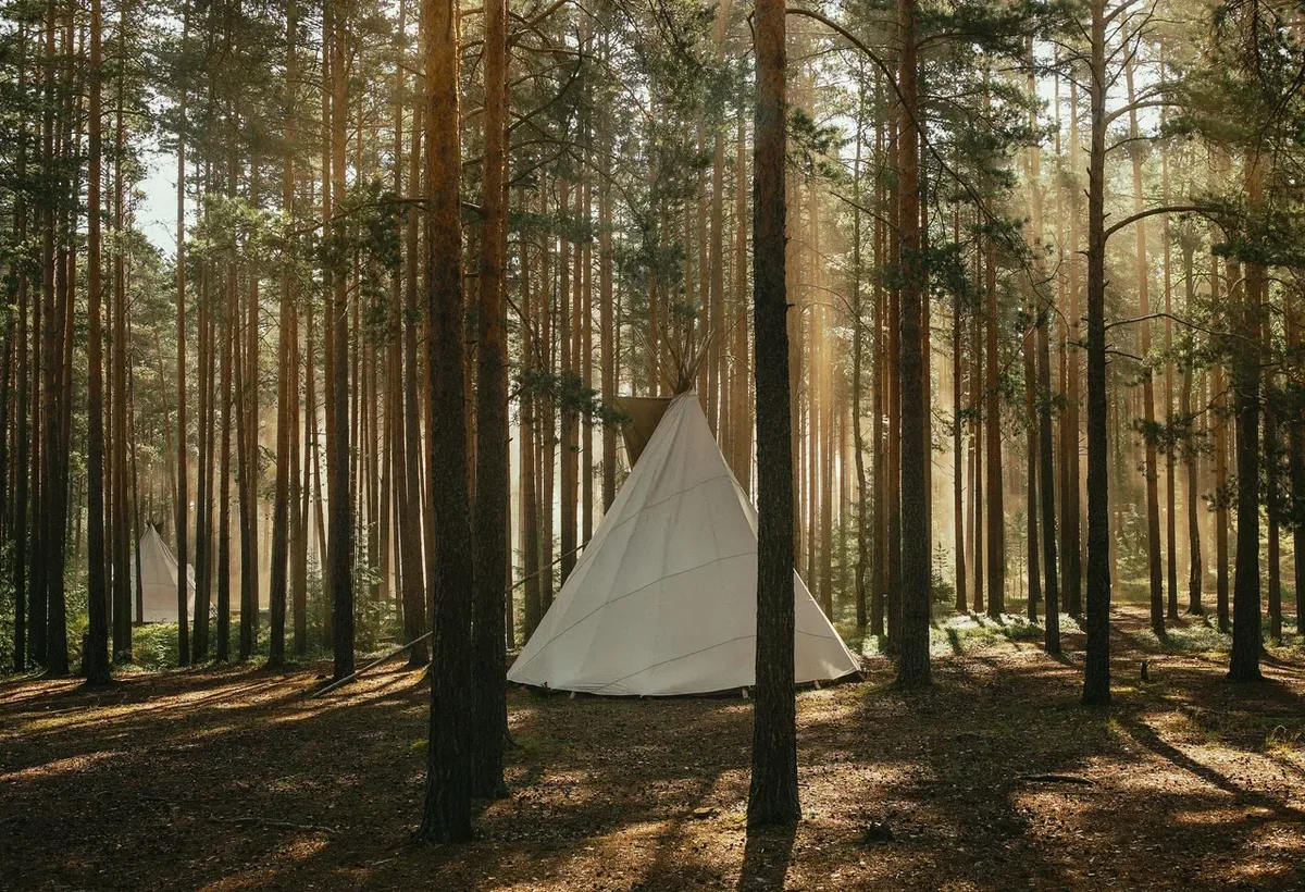 Лес Эко-отель фото 2