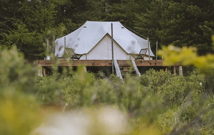 Лес и Море Алтай