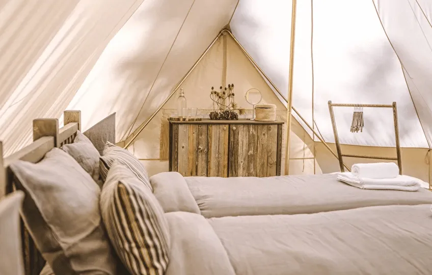 Лес и Море Алтай фото 3