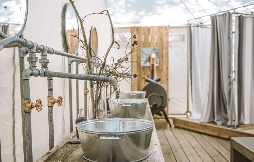 Лес и Море Алтай фото 5