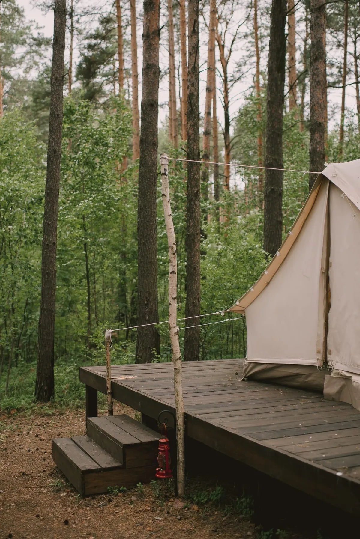 Палатка в лесу