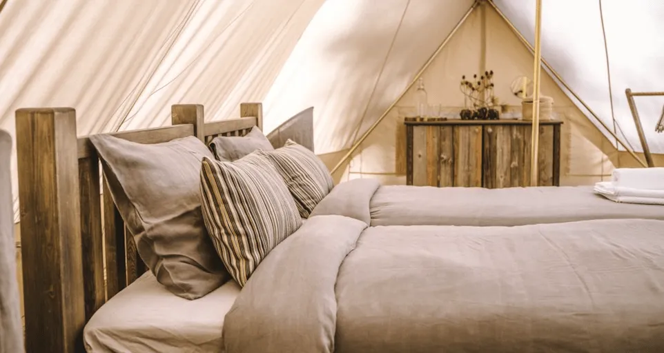 Лес и Море Тверь