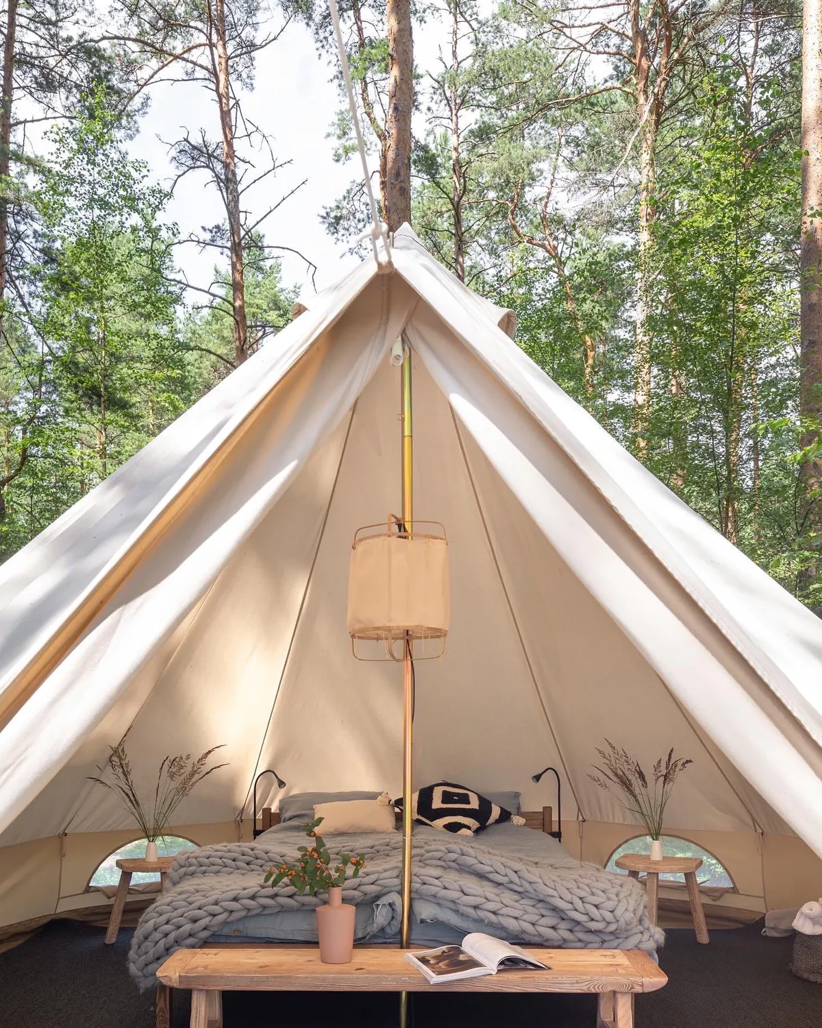 Лес и Море Тверь фото 4