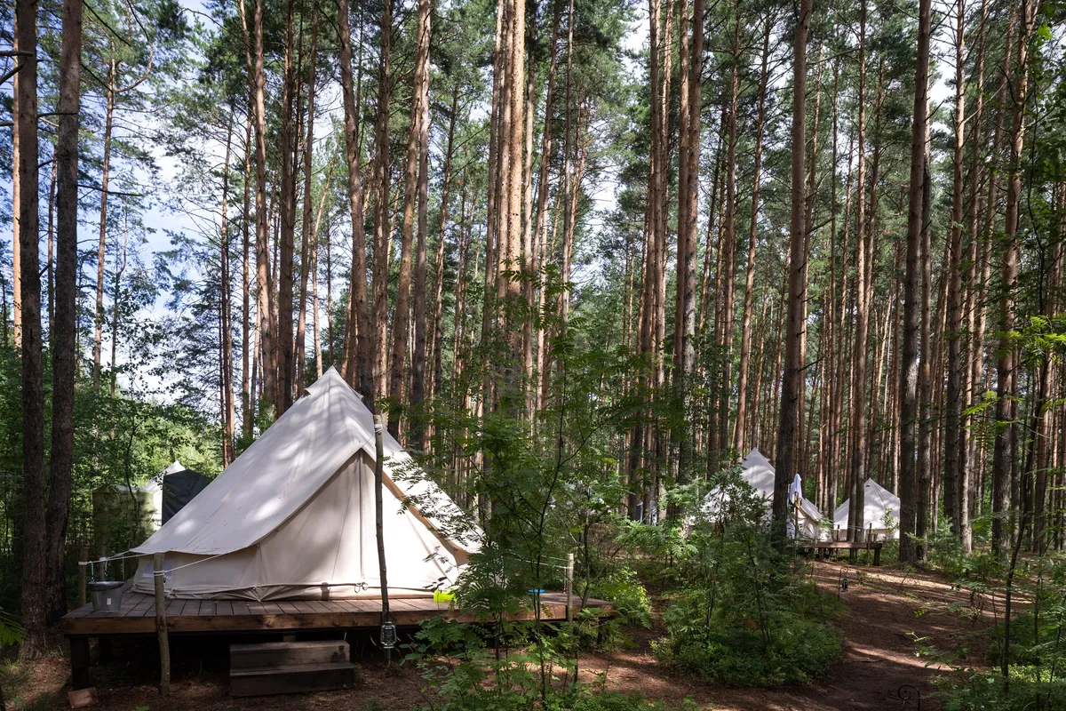 Лес и Море Тверь фото 5