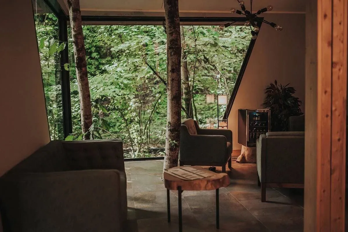 Лес Сочи фото 2