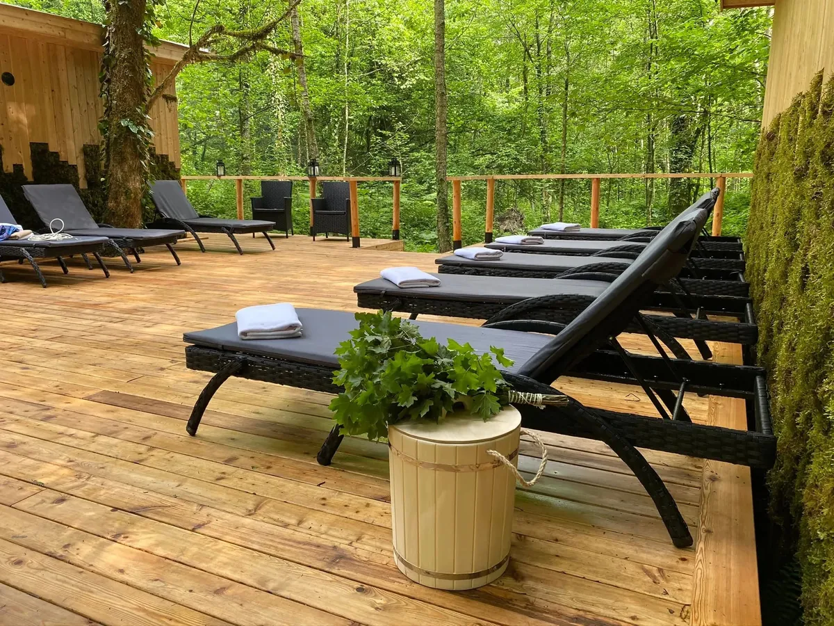 Лес Сочи фото 4