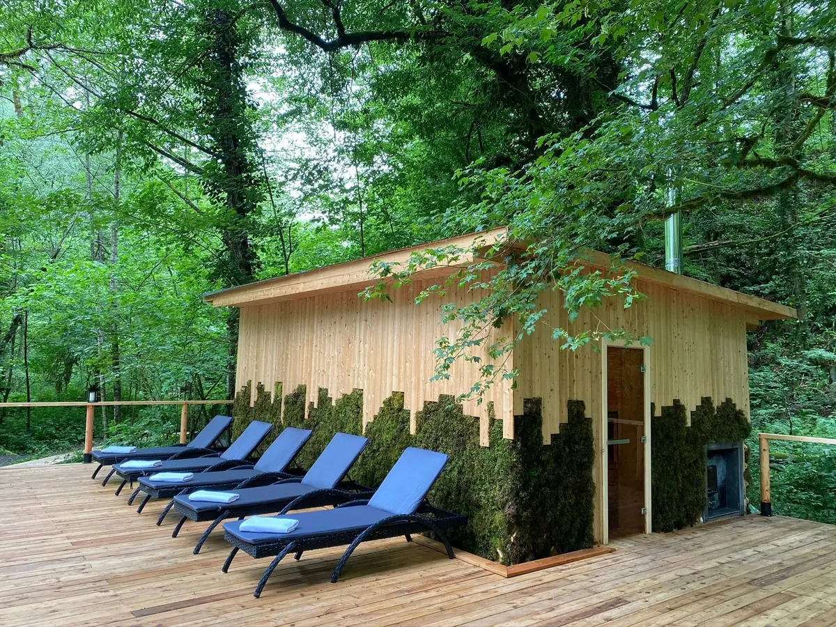 Лес Сочи фото 5