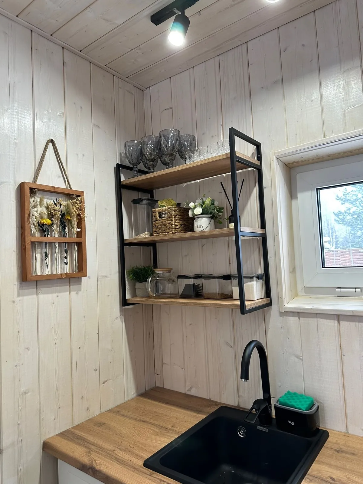 Лес Сыктывкар фото 5