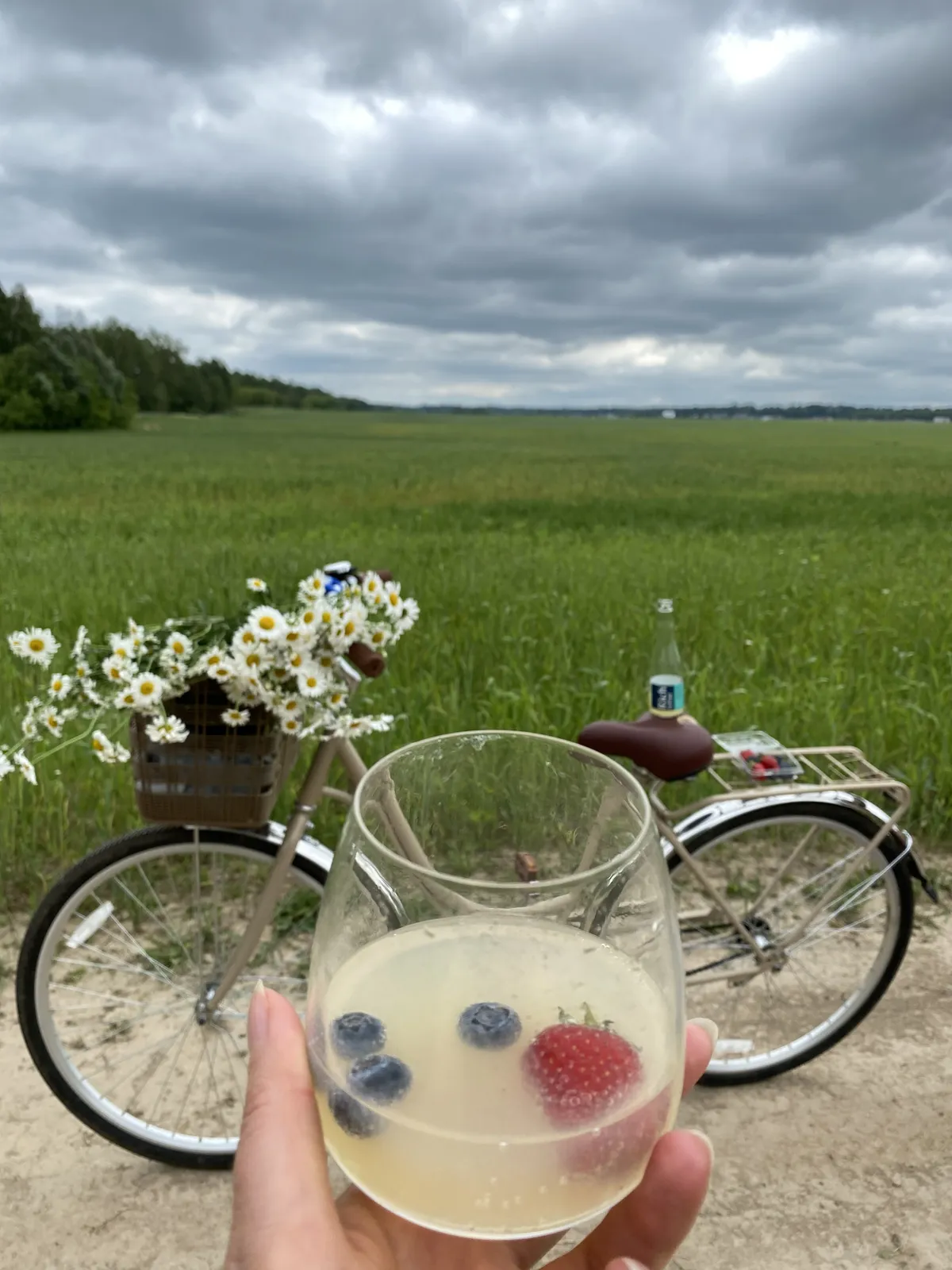 Лесная Высота в Соснах фото 2