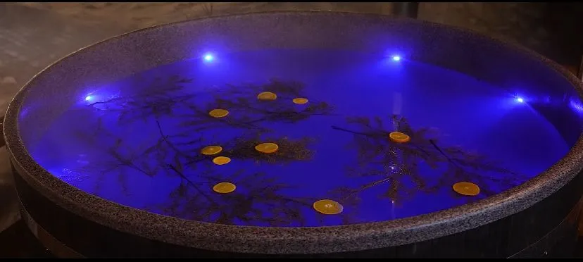 Лесное Патио Barn-Hause 2 фото 4