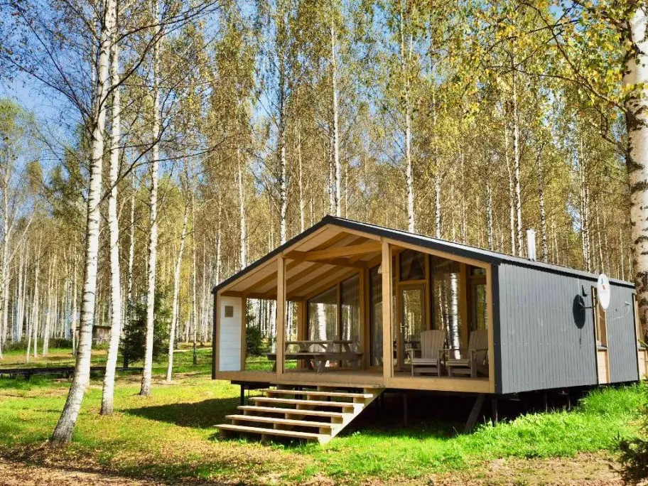 Лесной берег