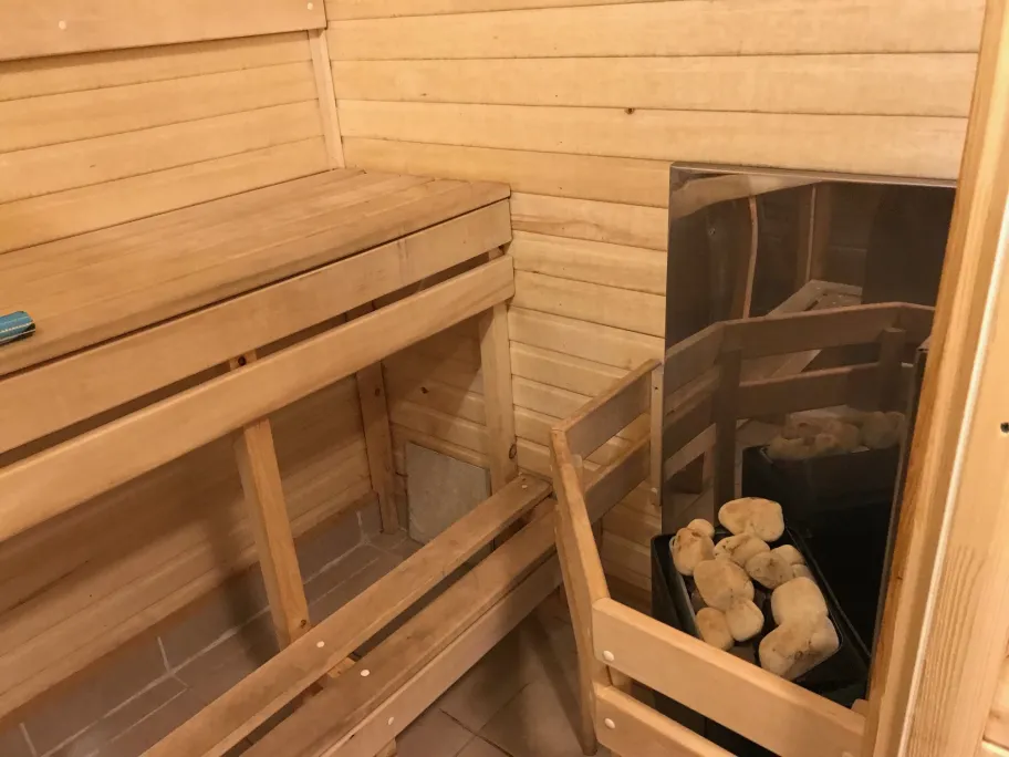 Лесной берег фото 2