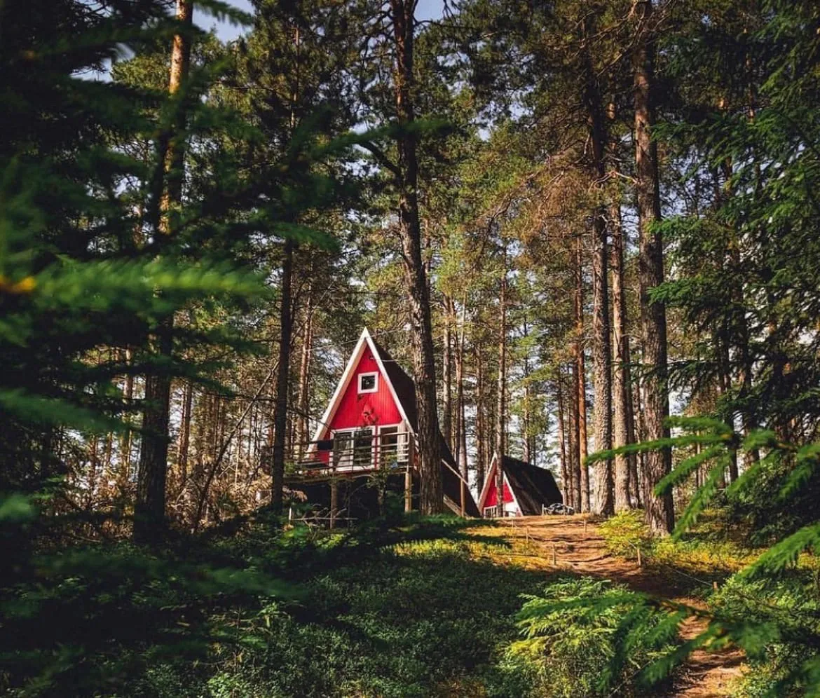 ЛесОк - пикник парк фото 3