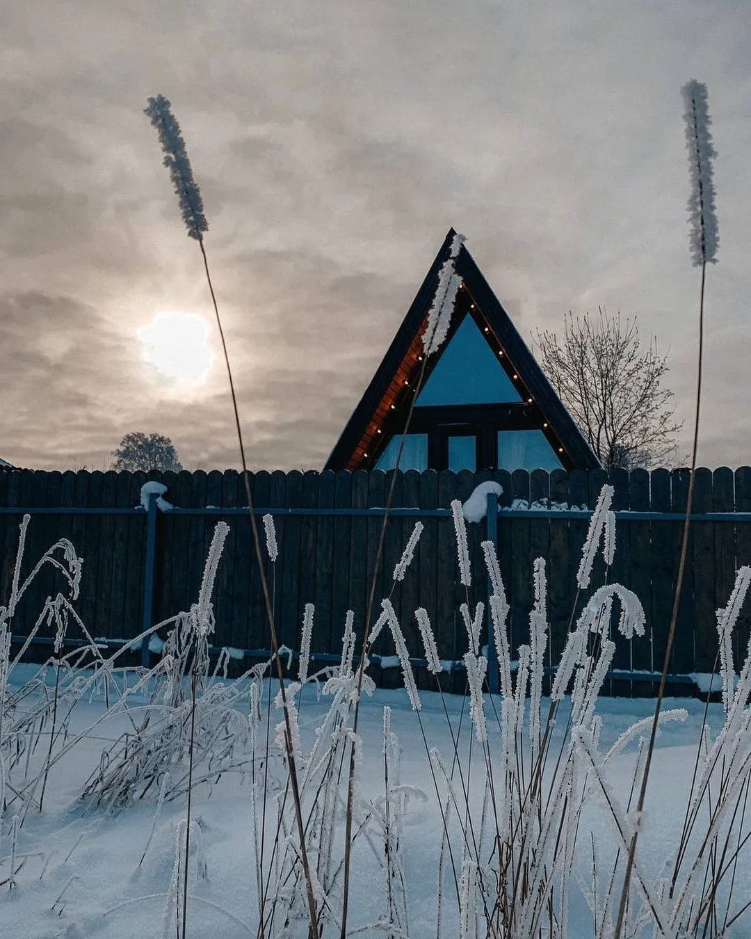 Лиса в шалаше фото 4