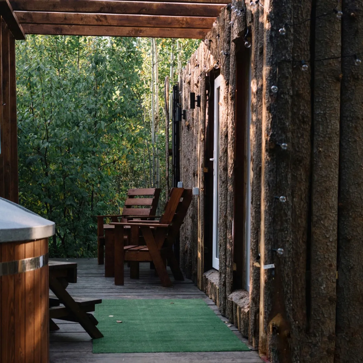 Лосиный след фото 2