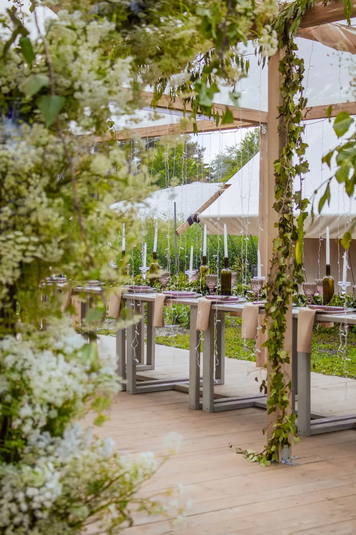 Малина Зеленоградск фото 3