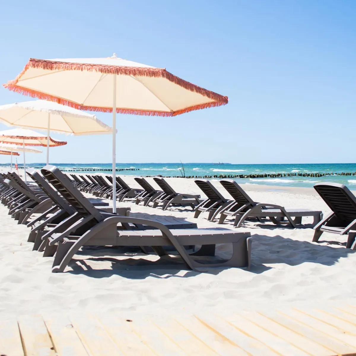 Малина Зеленоградск фото 5