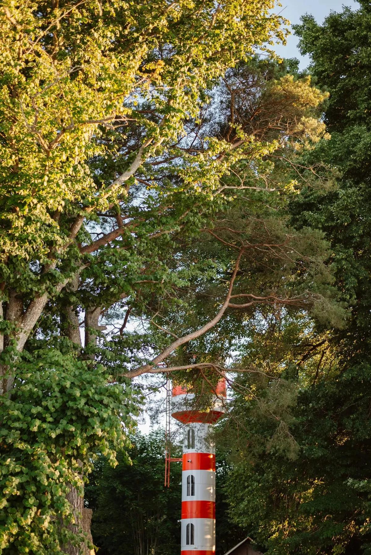 Маяк Калининград фото 2