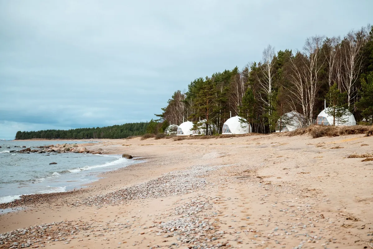 Майтри кэмп