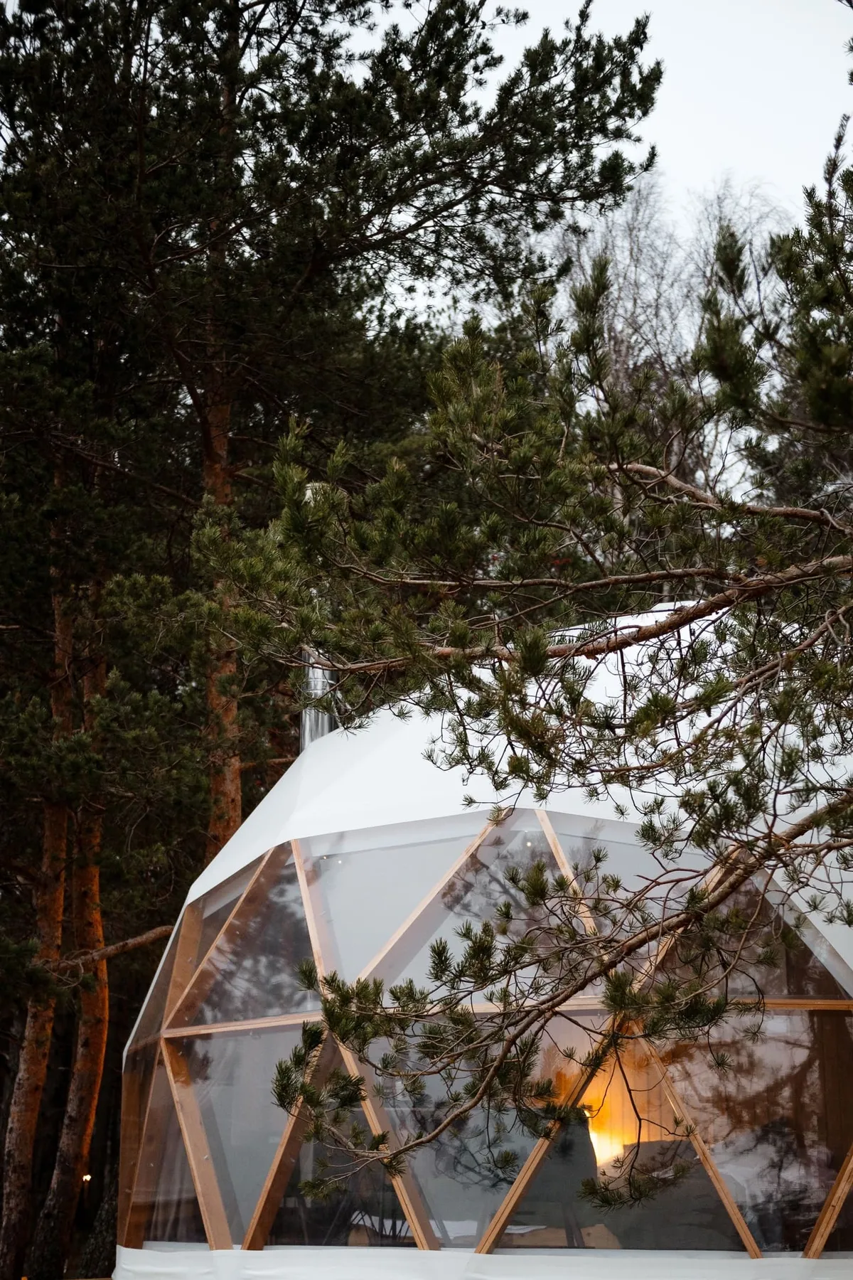 Майтри кэмп фото 2