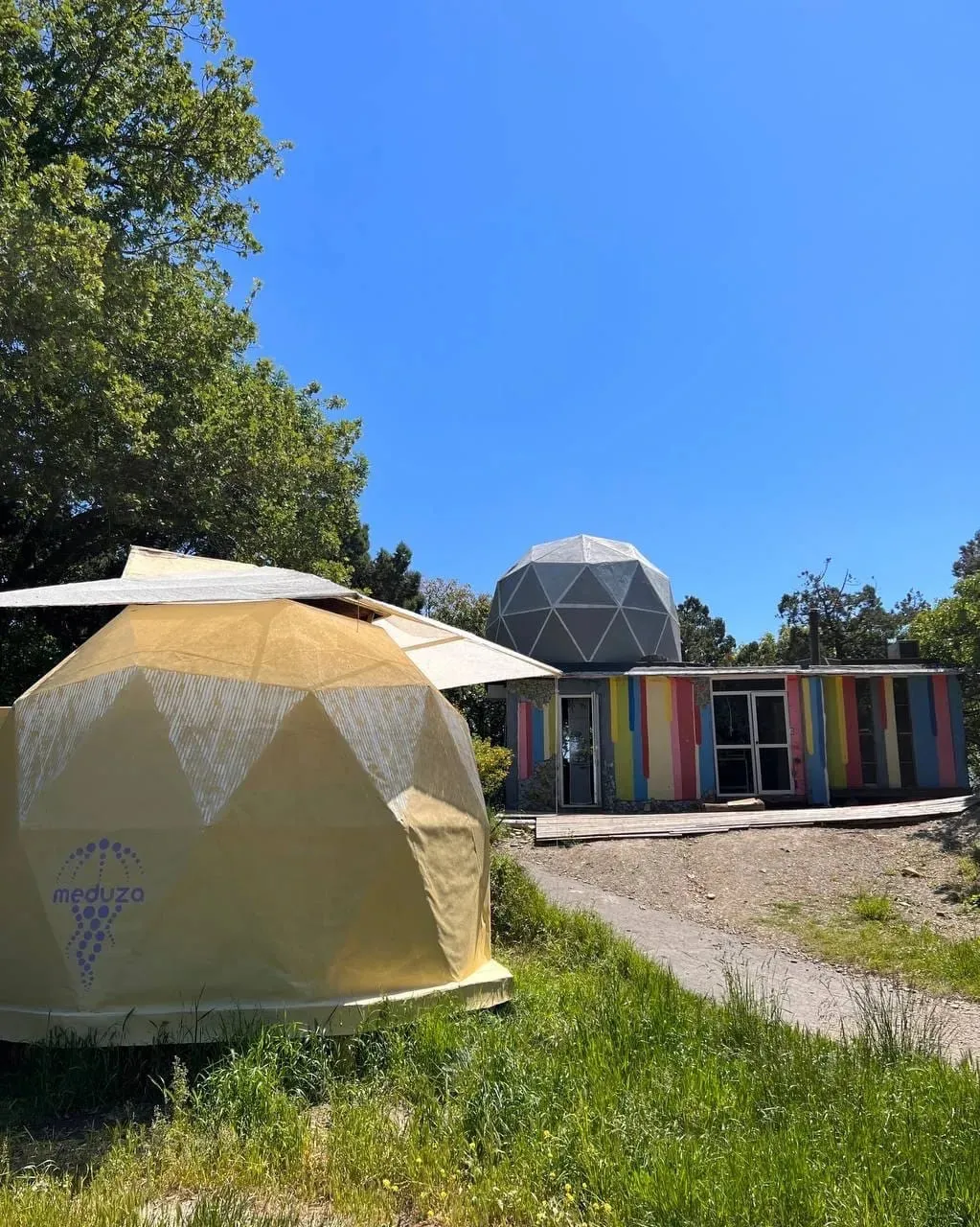 Медуза Дюрсо