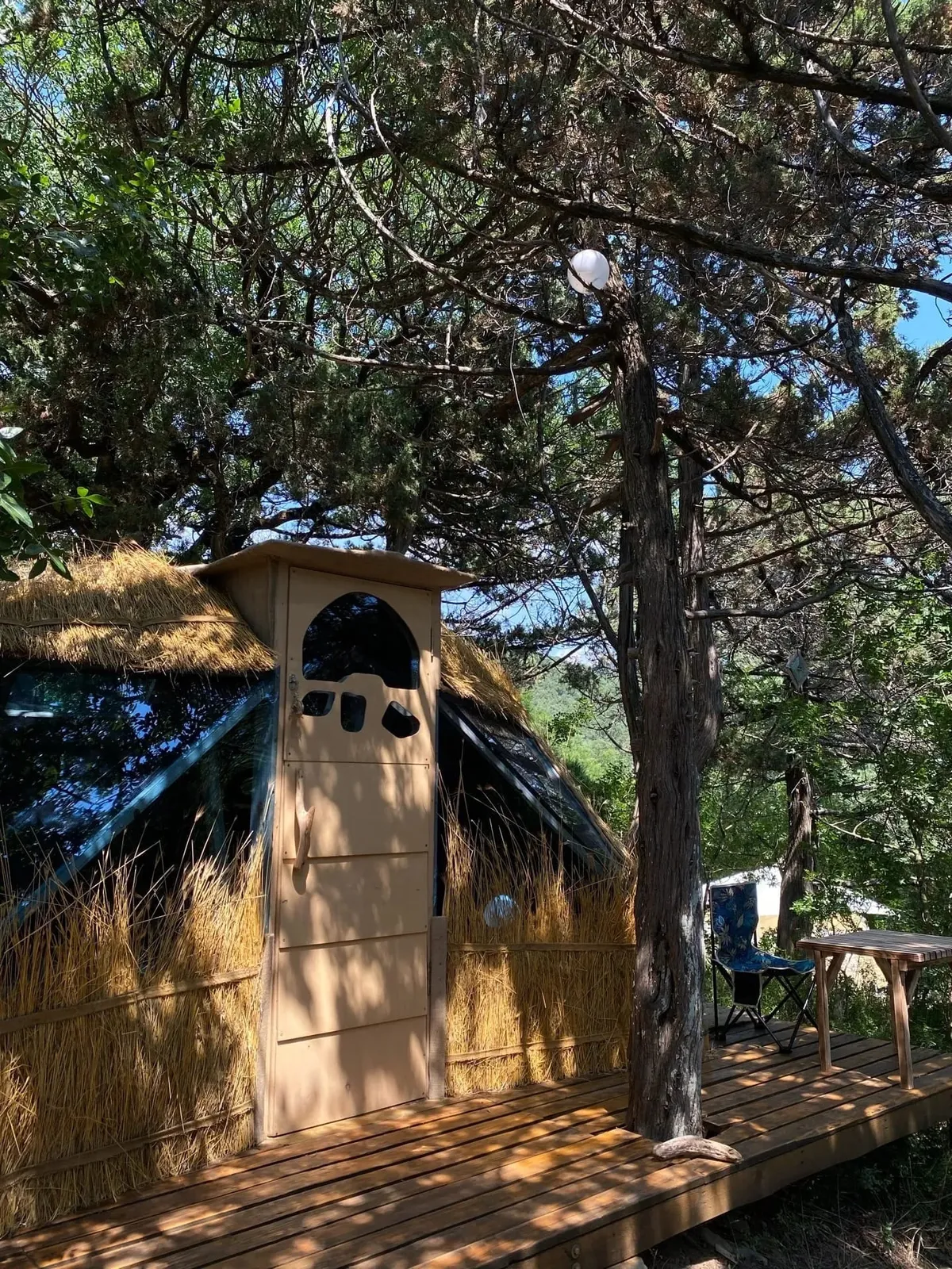 Медуза Дюрсо фото 3