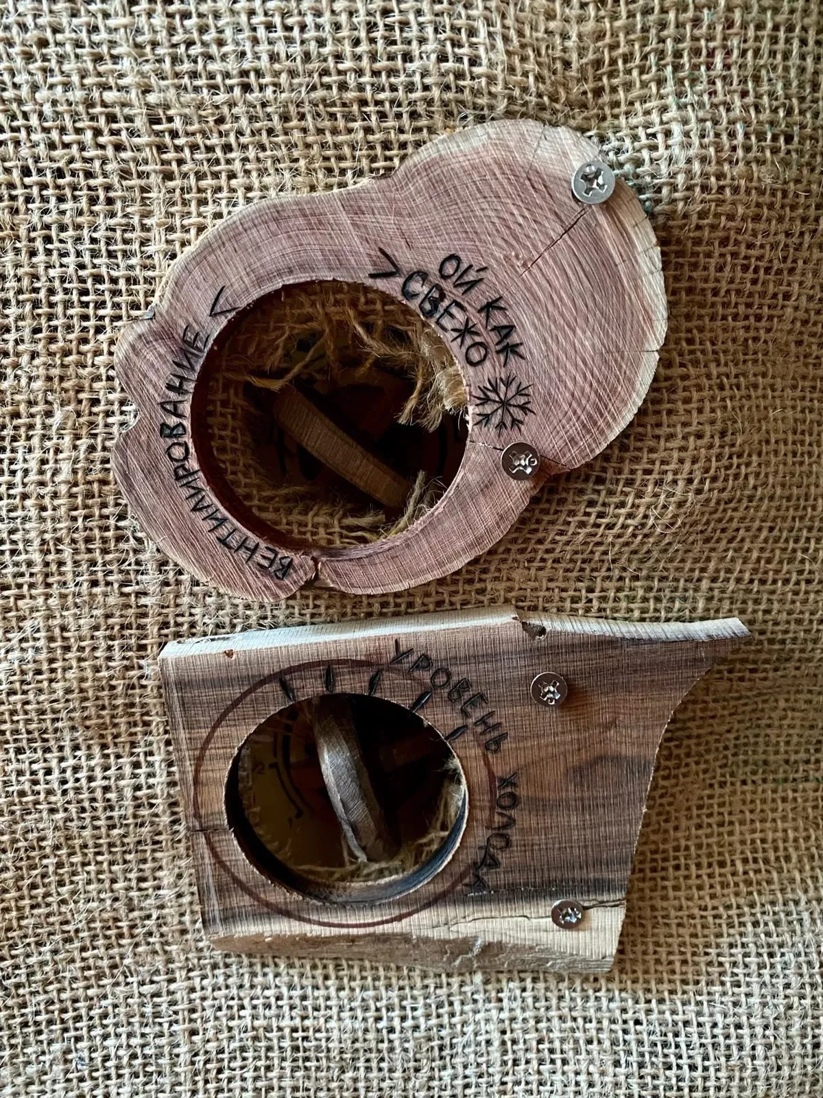 Медуза Дюрсо фото 4