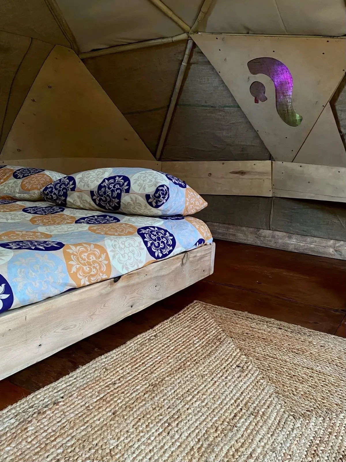 Медуза Дюрсо фото 5