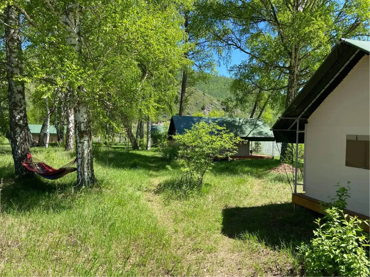 Место Силы Алтай