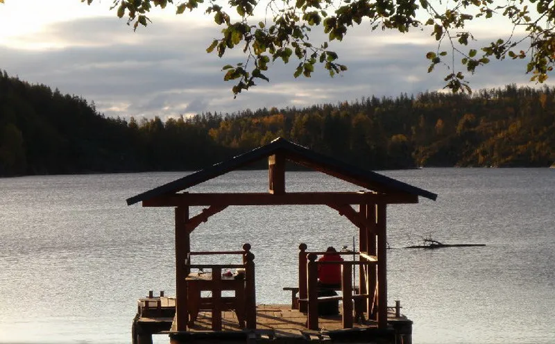 Микли-Ольгино фото 2