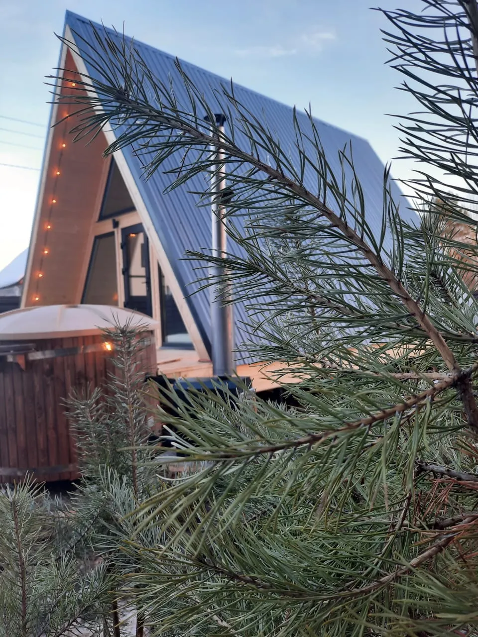 More_Lesa ( Море Леса )