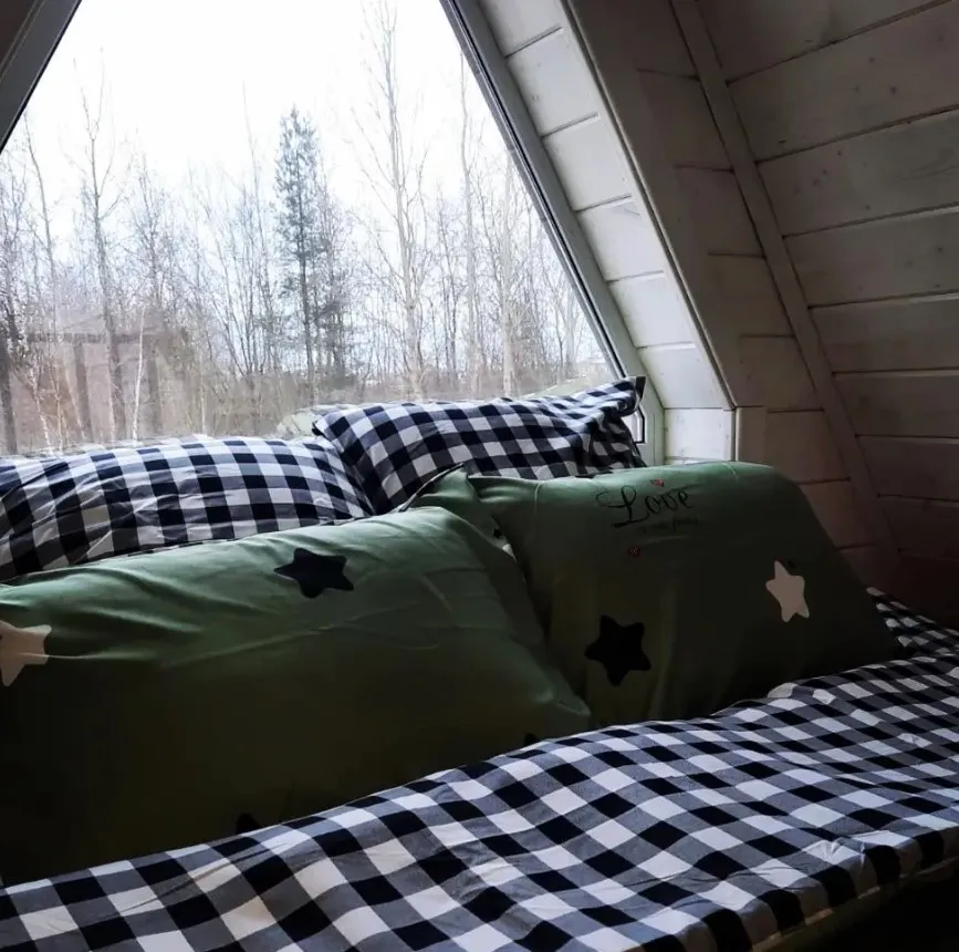 More_Lesa ( Море Леса ) фото 3