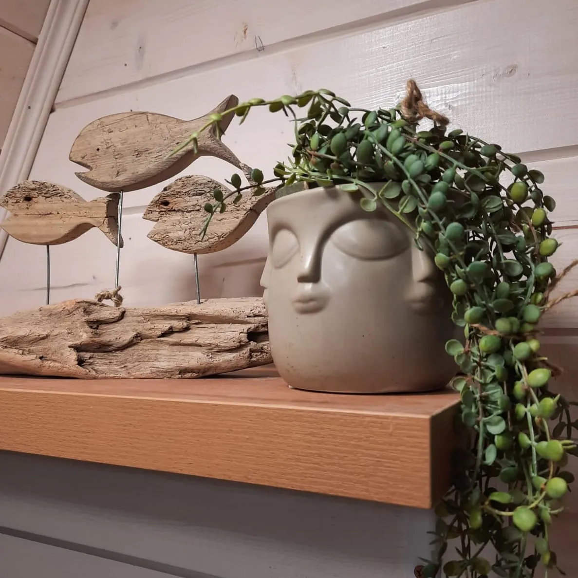 More_Lesa ( Море Леса ) фото 4