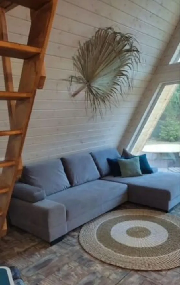 Море леса фото 3