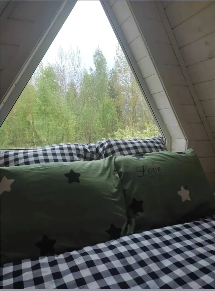 Море леса фото 4