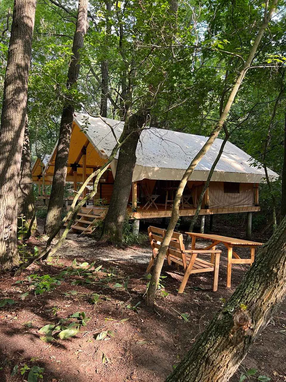 Лесной тентхаус