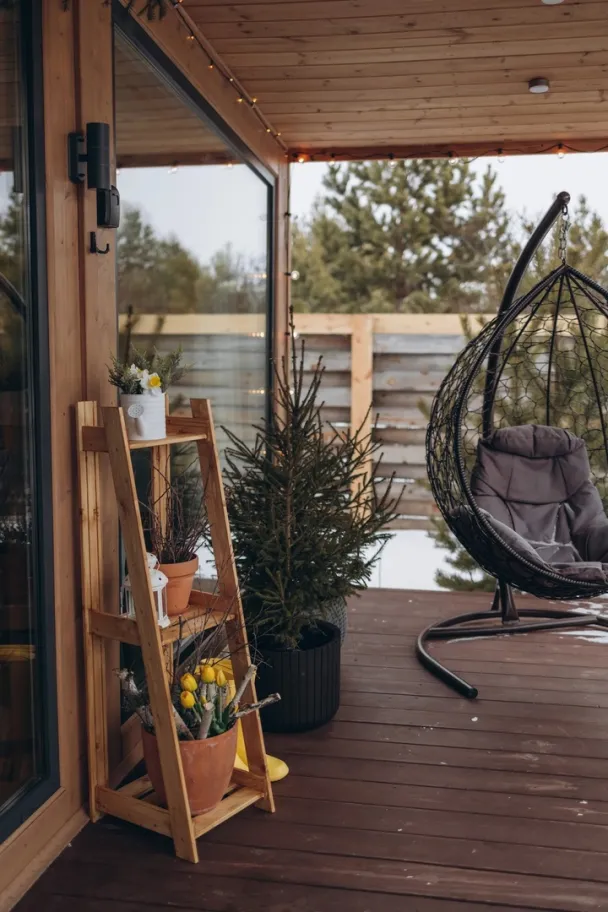 Мотылек фото 2