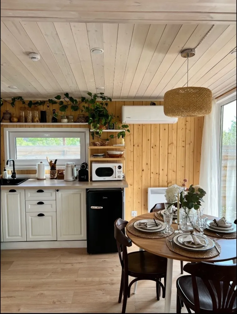 Мотылек фото 3