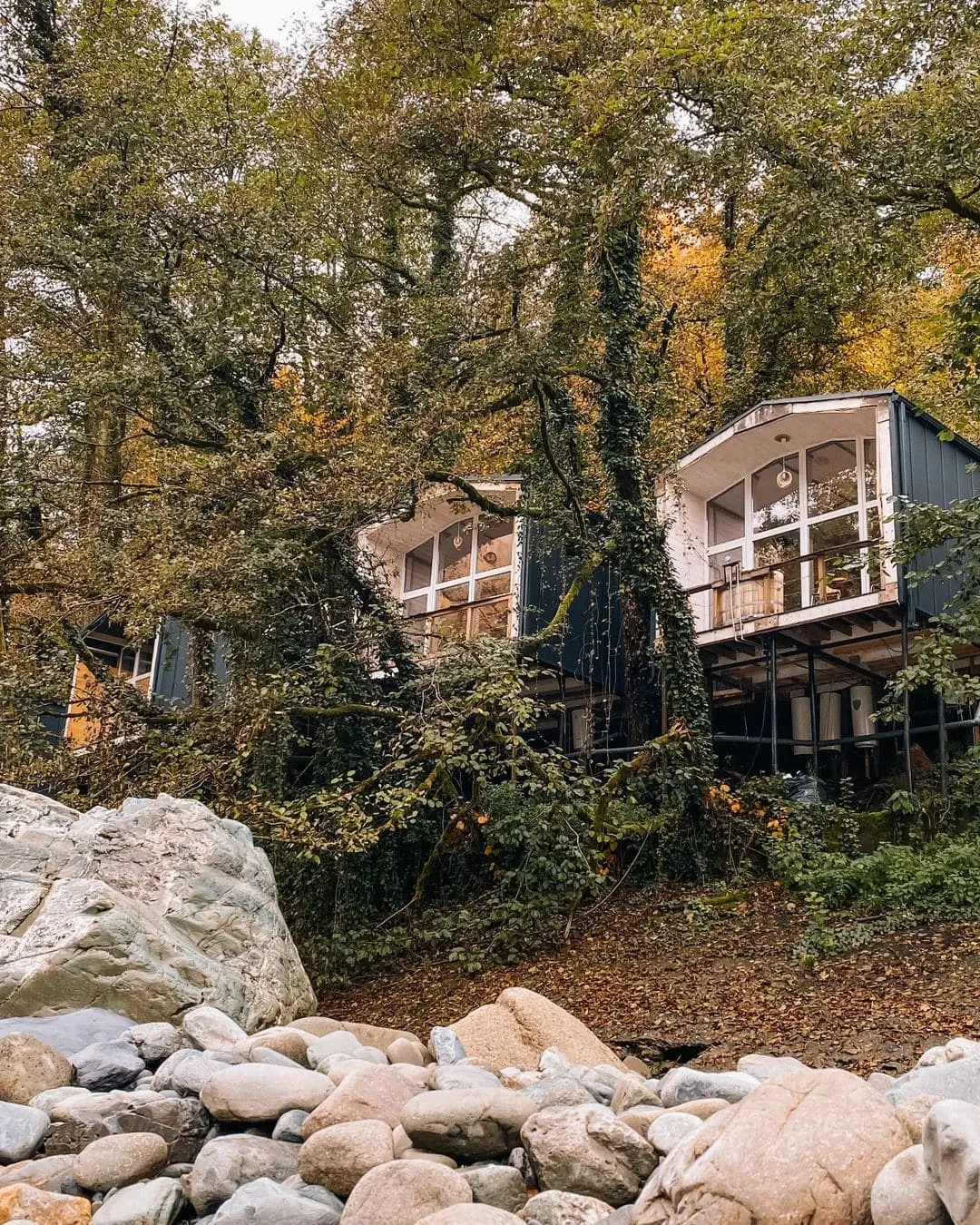 Можжевеловый рай фото 4