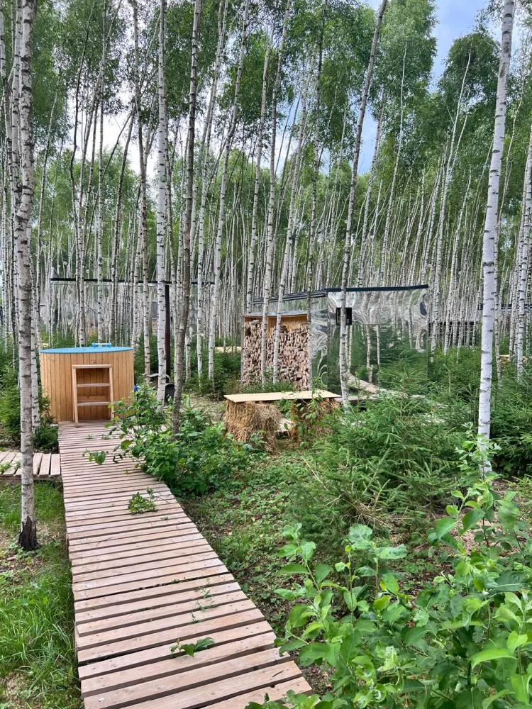 Мы дома в Шелково фото 3