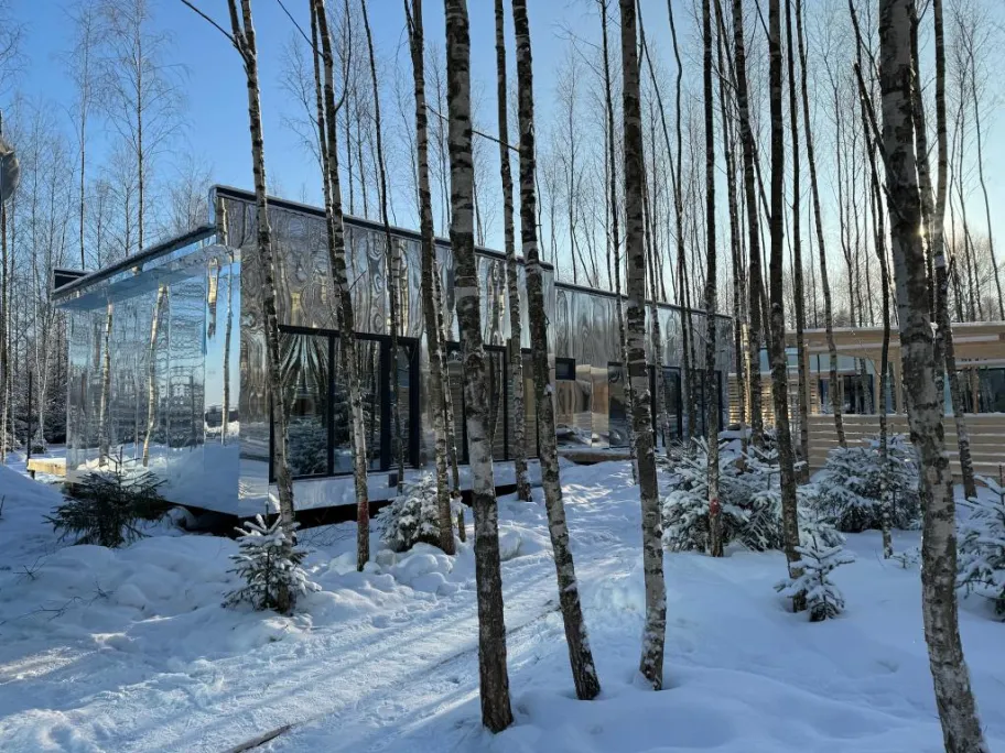 МЫ Дома - в Зеркальном лесу