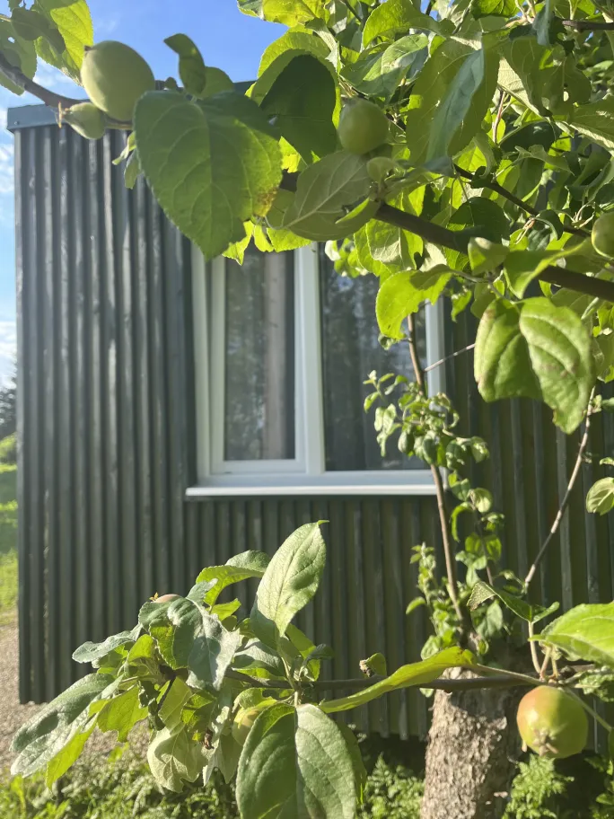 Наш домик фото 5