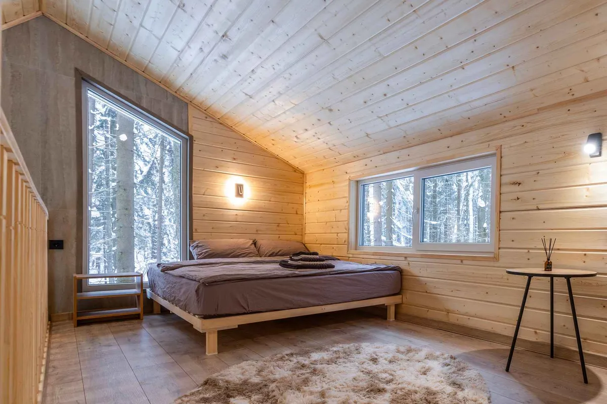 Наш лес фото 2