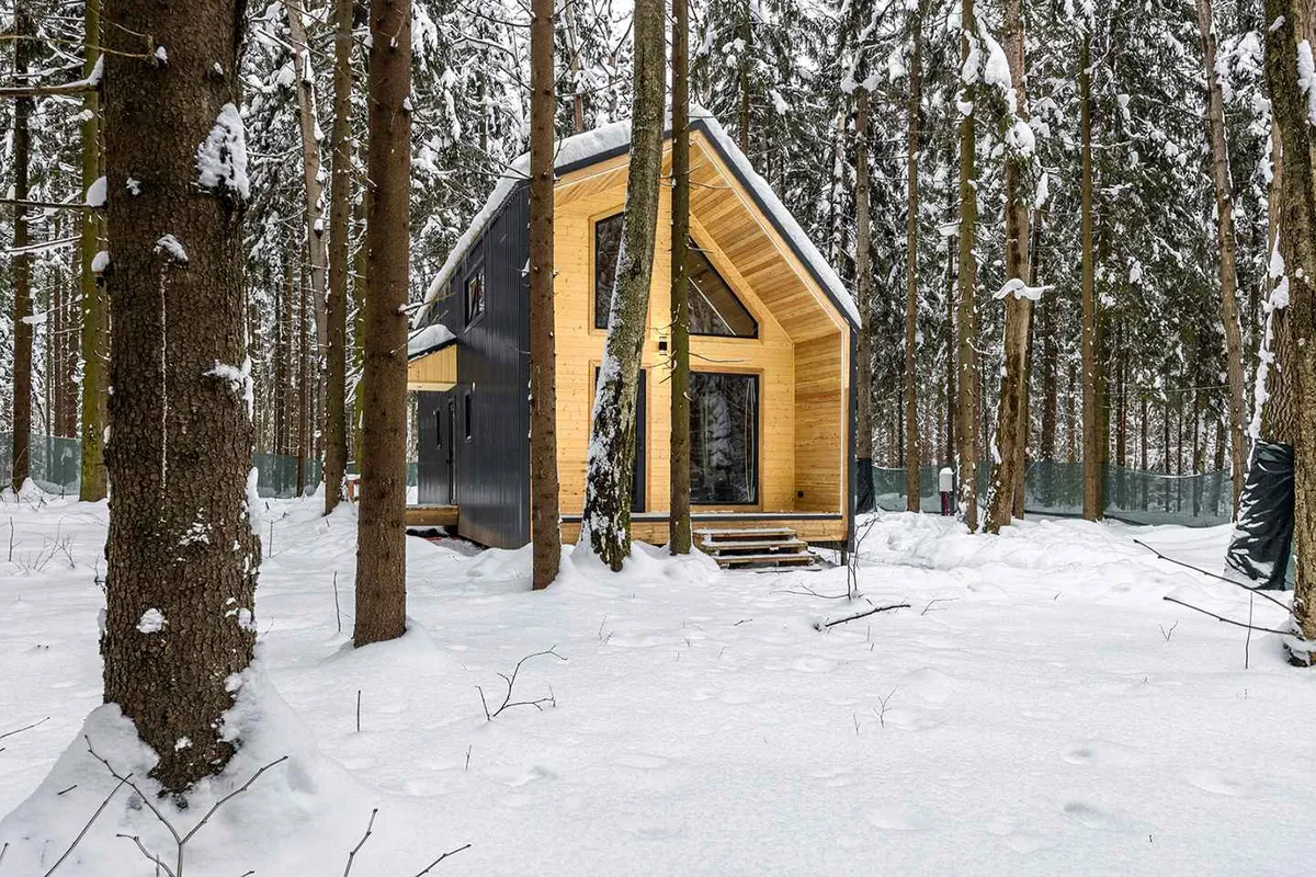 Наш лес фото 5