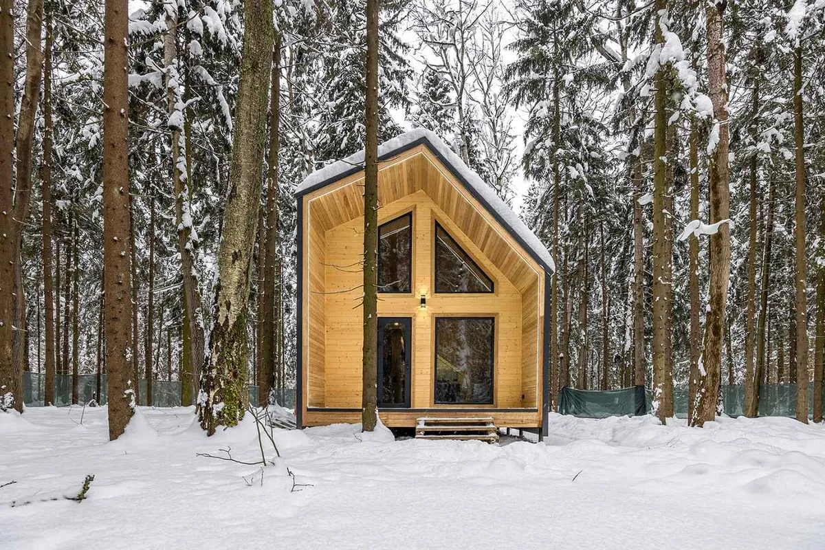 Дом в лесу «Южный» с отдельным входом