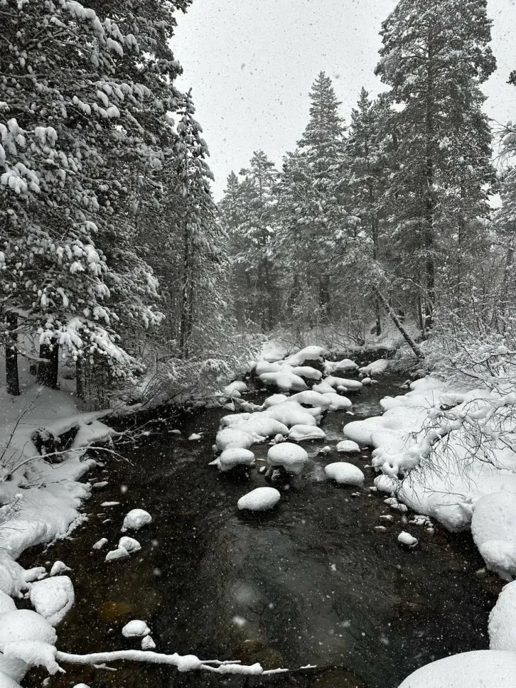 Naturotel фото 3