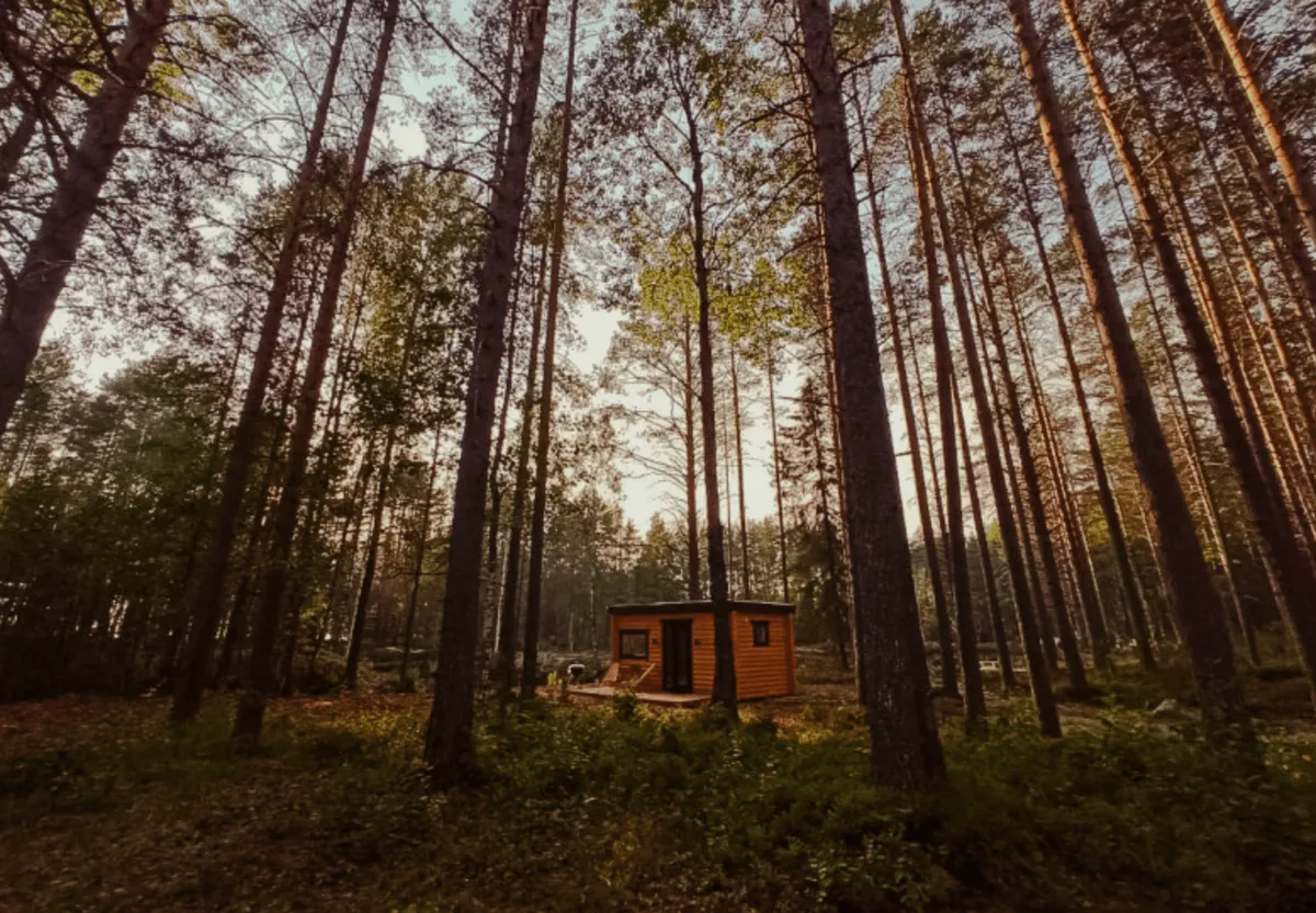 New Camp Эссойла фото 3