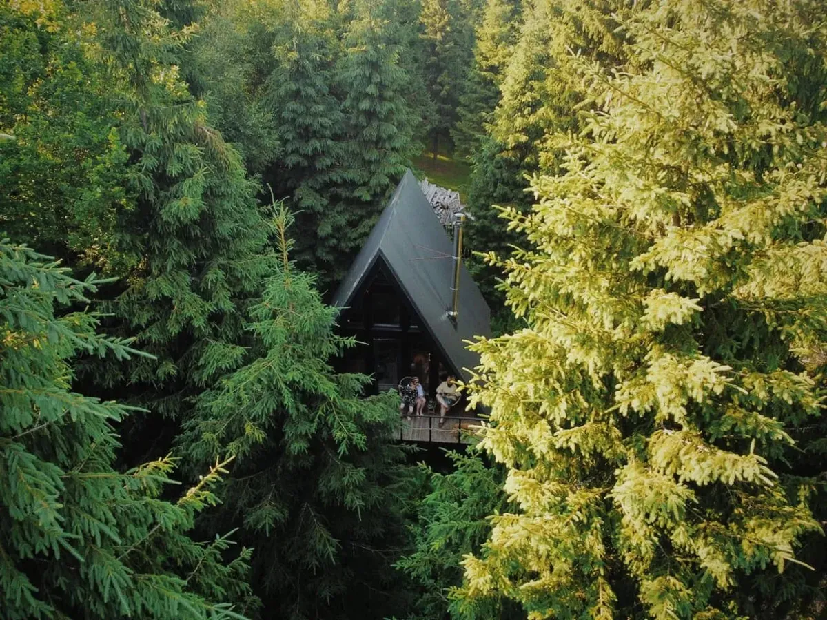 A-frame с панорамными окнами в лесу