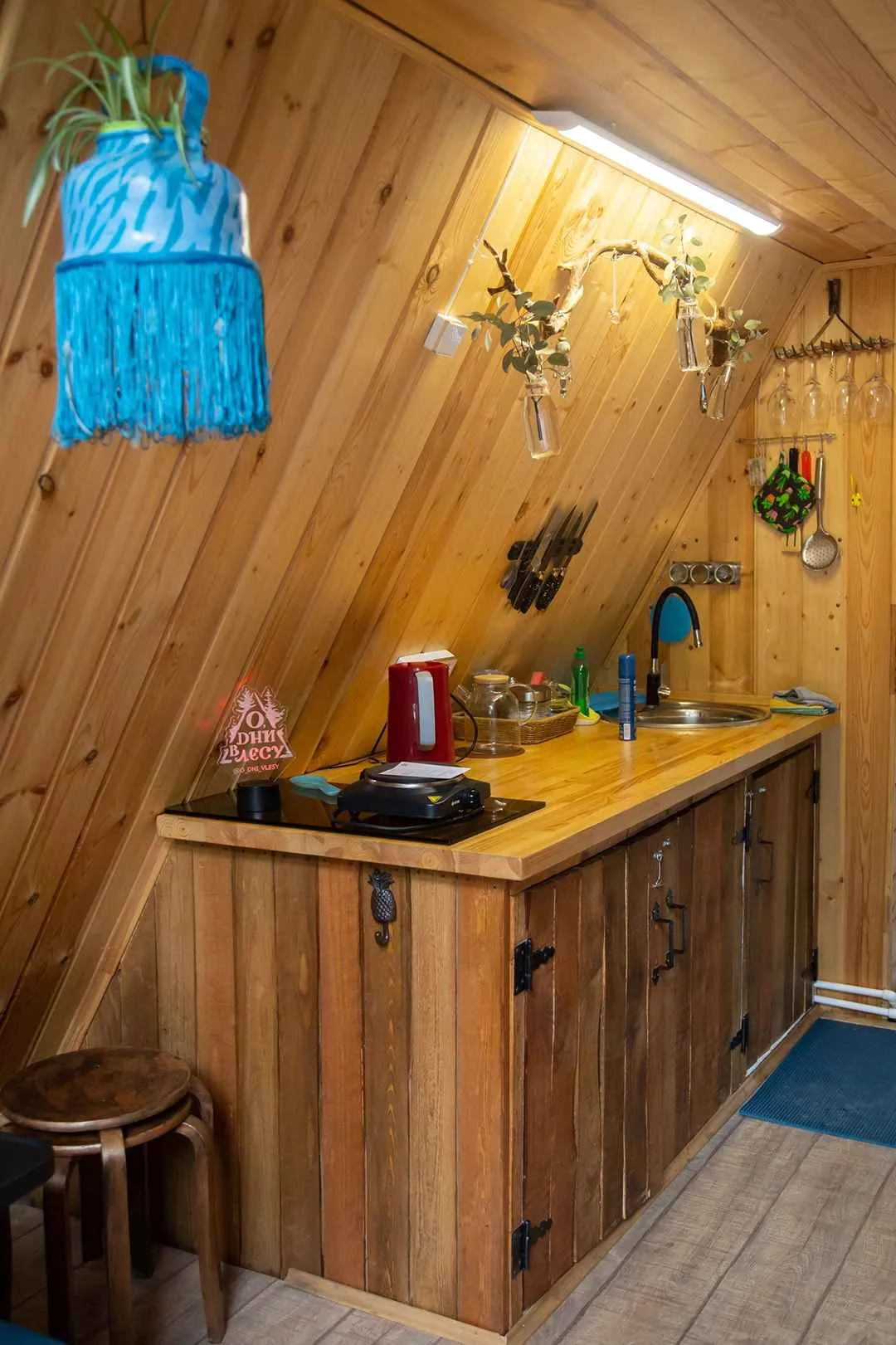 О, Дни в лесу фото 3