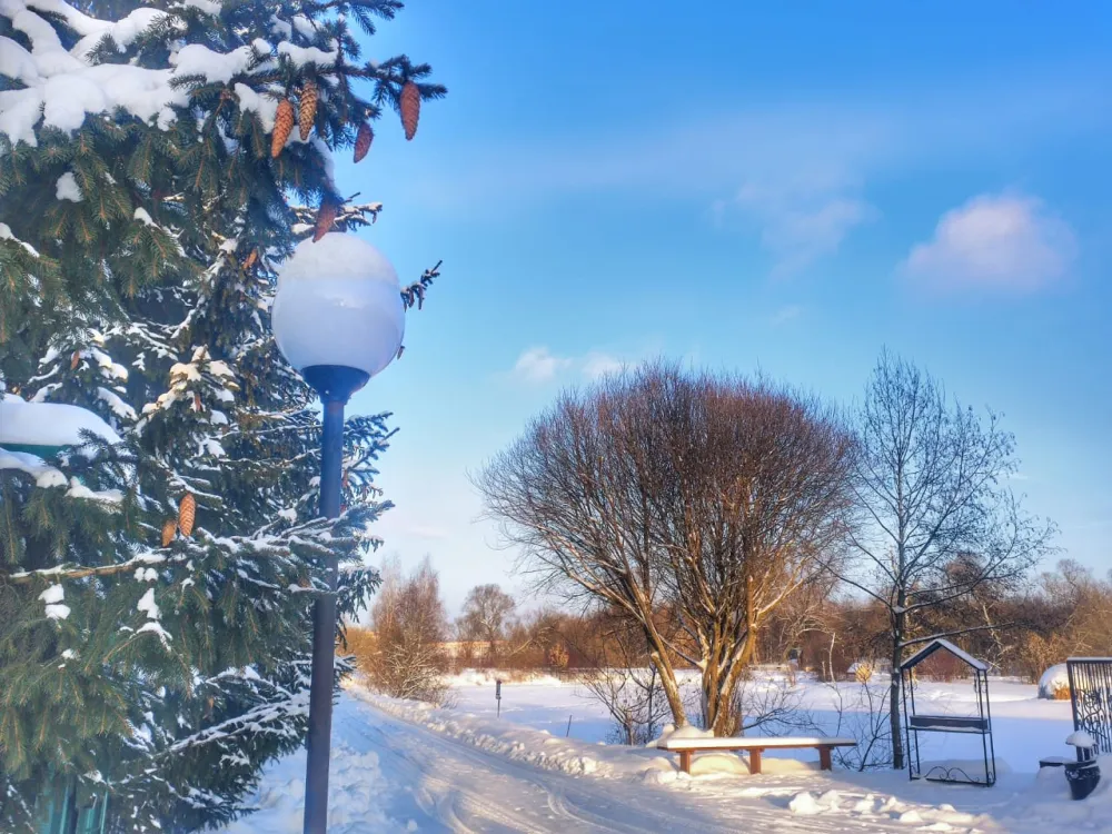 Ок-Река-Старая карточка фото 4